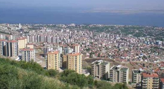 narlıdere halı yıkama